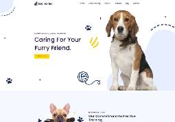 Treinamento de Cães